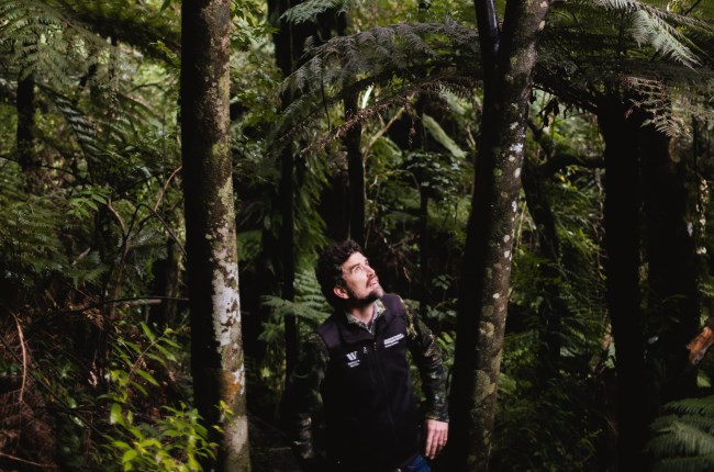 A jewel in Wellington's crown