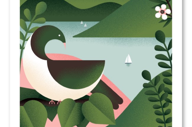 Spring Our Wellington online this week