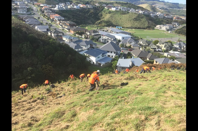 Community heroes in conservation: John Curran