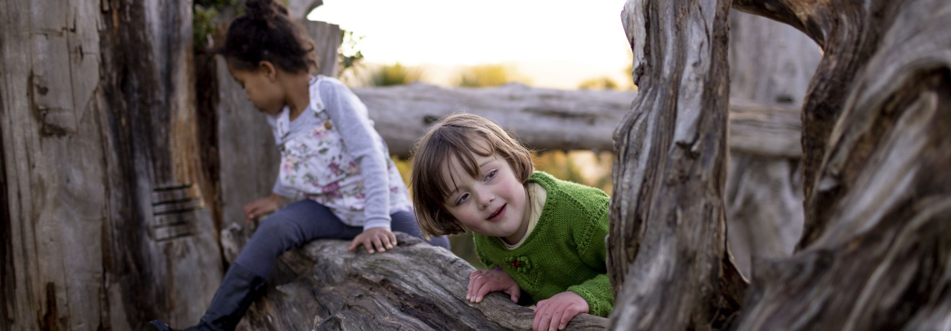 A young girl with black curly hair and a purple outfit siting on a log, while another young girl with a blond bob and green jersey leans over the log looking at a tree trunk in the foreground.