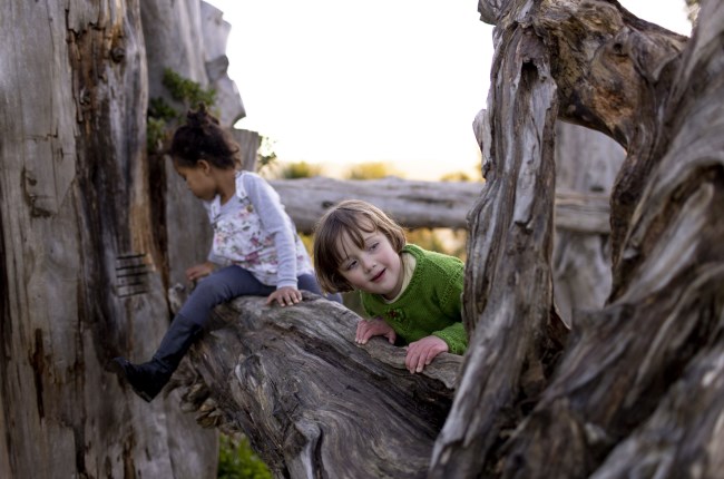 Explore the Matairangi Nature Trail