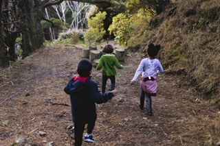 The backs of three small children running towards some short cut stepping logs in a shady pine forest with pin needles on the ground.