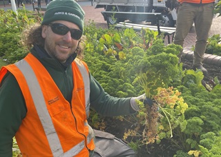 Our Horticulture Team Manager, Martin, smiling with a bunch of parsley in his hand.