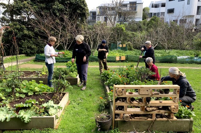 Wellington first in New Zealand to join international food pact