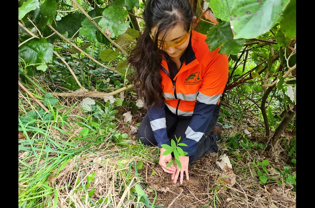 Team spirit stopping weeds dead in their tracks