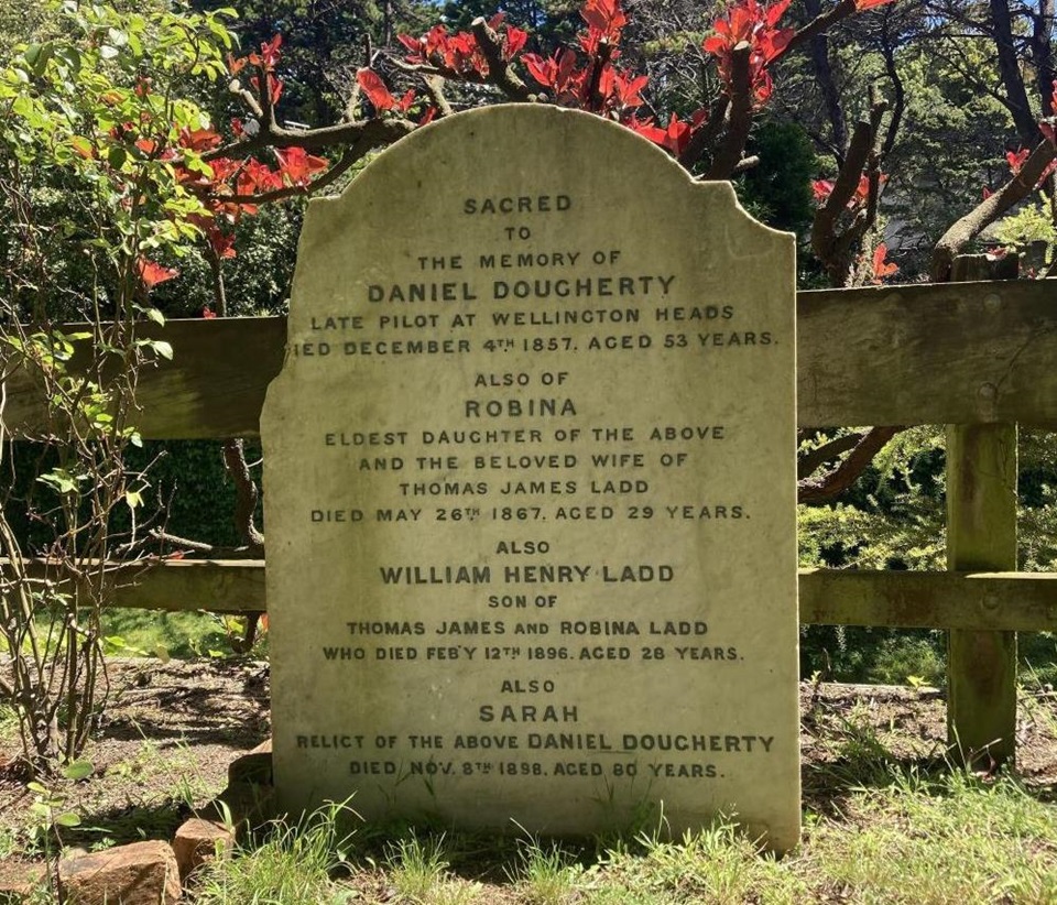 A gravestone with red flowers growing behind it.