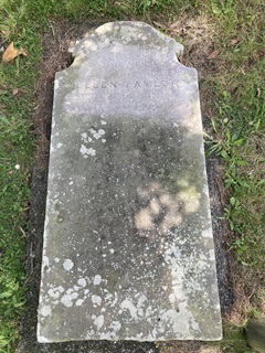 A gravestone with lichen growing on it.
