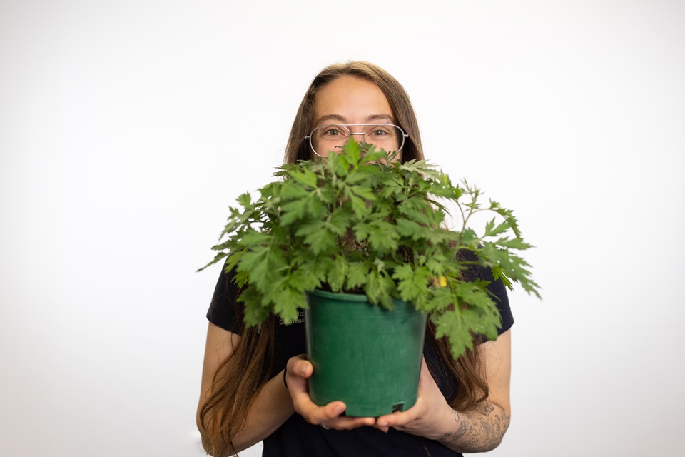 One of the apprentices shows of a plant for Hiddens garden project