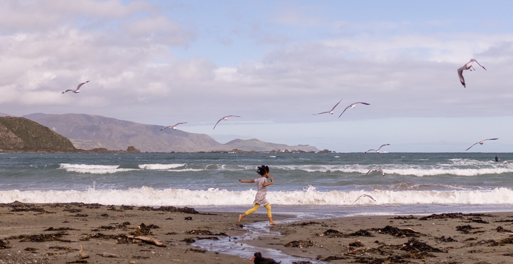 A child running along Lyall Bay beach while a flock of seagulls fly around them.