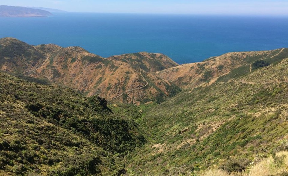 Landscape image of Te Kopahou Reserve