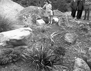 The grandaughter of Dr Leonard Cockayne placing flowers on memorial.