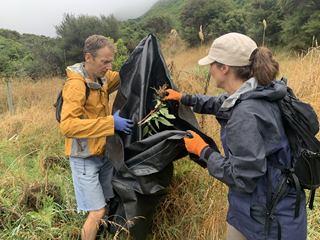 A young man with blond hair and a yellow jacket holds open a large black bag as a woman wearing gloves, cap and rain jacket fills it with weeds. The pair are in a field of dry long grass and scrub.