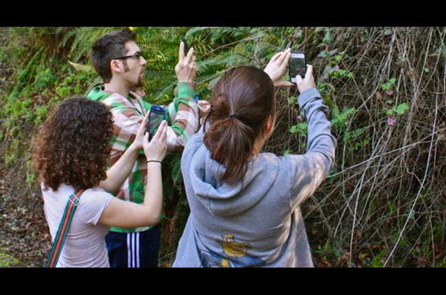 Wellington takes a walk on the wild side with global challenge