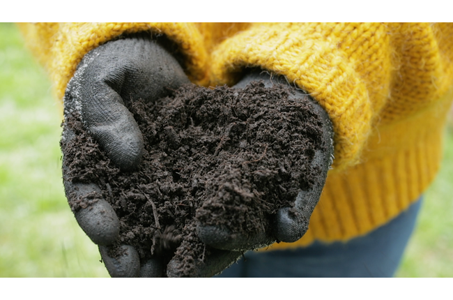 Time to celebrate the wonders of composting