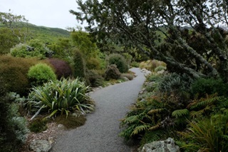 Path surrounded by nature. 