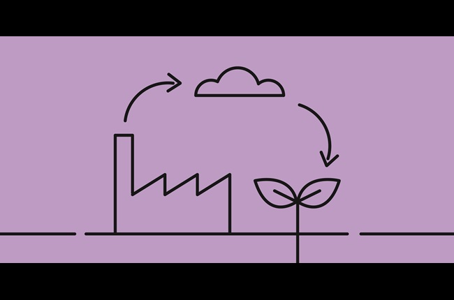 How will our city respond? Making Wellington resilient and adaptable