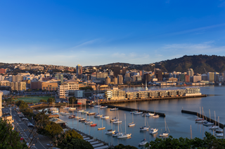 Wellington City boat sheds and marina.