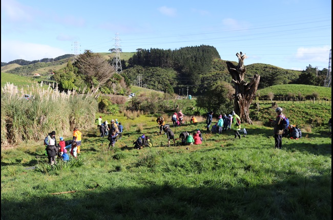 Empowered students transforming Tawa's ecosystems