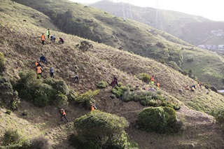 Workers planting in the field.