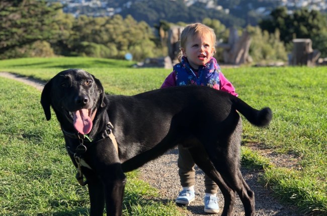 Dog park etiquette: What you and your pooch need to know! 