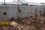 Detail of concrete wall showing small holes filled with sticks for insects to live in.
