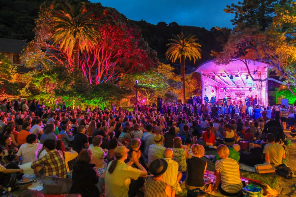 Performers on stage light up with purple lights and the tress surrounding them.