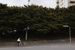 Woman cycling up a hill.