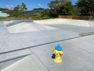 Hydrant at Skate Park.