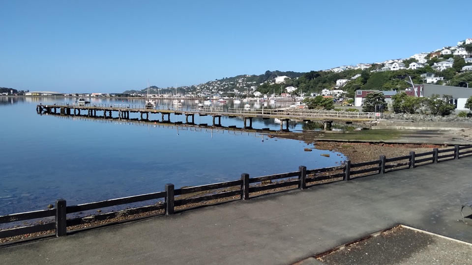 Evans Bay Patent Slip jetty with harbour in background.