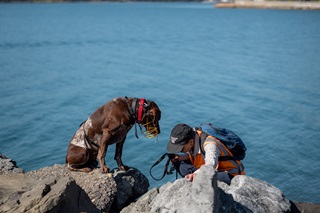 Person and a dog sitting on the rocks.