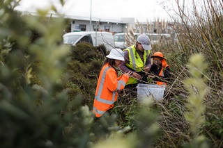 People searching through the bush.