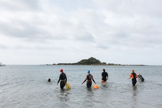 Six women walking into the ocean with their backs turned to the camera.