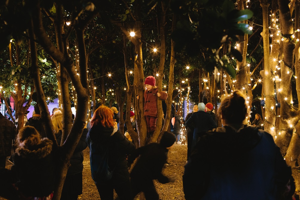 Fairy lights light up a group of trees in the night. A little girl laughs as she stands up tall in a tree holding in to its trunk. Other kids and adults explore the sparkly forest.
