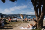 A young woman leans back against a tree reading a book on a sunny day at a busy beach.