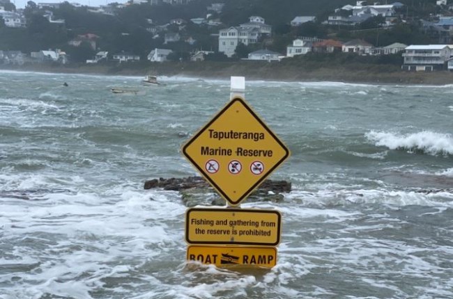 Roadmap to shape Wellington’s response to climate change 