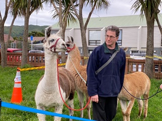 A man holding on to a lead attached to a llama.