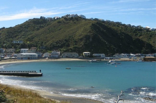 Friday Five: Explore Island Bay