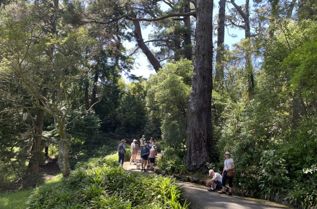 Wellington’s community places and parks to be more welcoming, accessible and indigenised