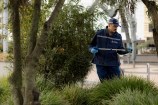 Police picking up rubbish in a bush.
