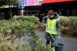 Person wearing a coat and a high vis yellow jacket, holding a bucket and litter picker.