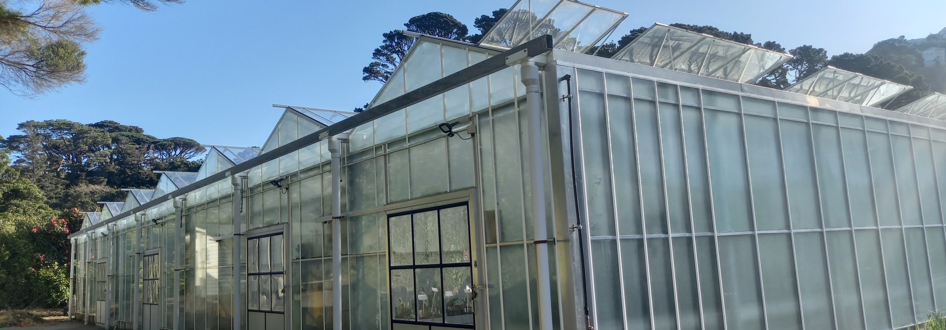 Row of glasshouses at the botanic gardens.