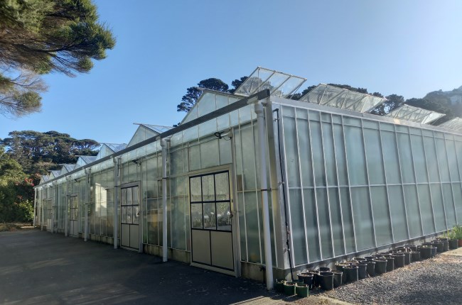 Botanic Garden glasshouses better off without gas