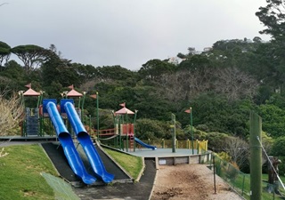 Botanic Garden play area before upgrade