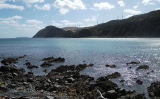 On the shores of Makara Beach.