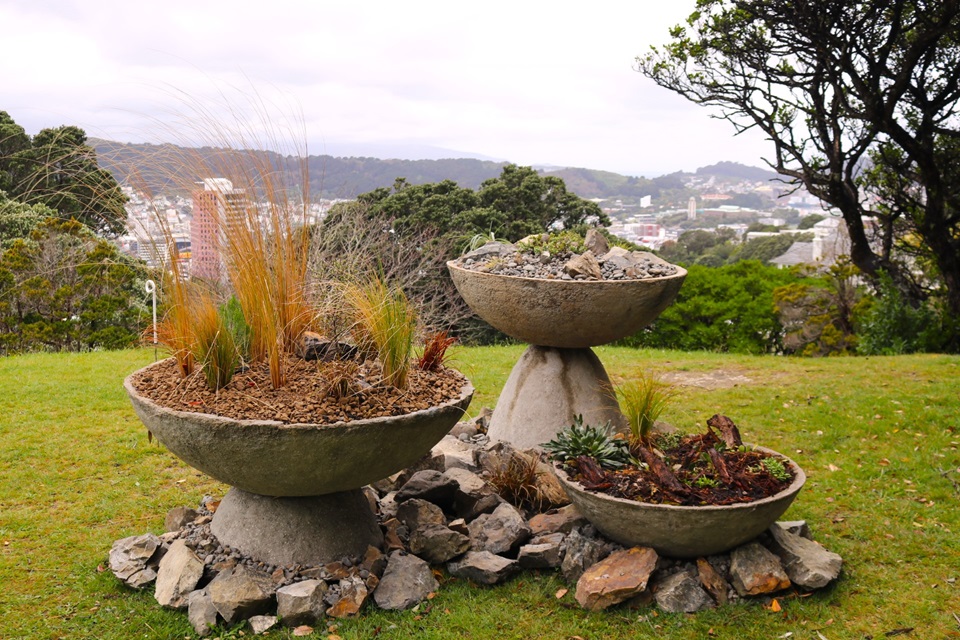 Miniature Mountain Hidden Garden by Abigail shows snapshot plant life 