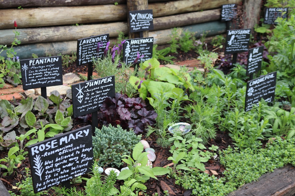 Witches Hidden Garden by Rosa shows healing herbs and plants