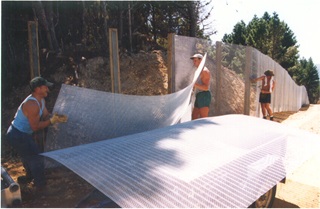 Workers building the fence at Zealandia.