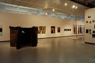 An exhibition at City Gallery featuring a large furry hanging in the centre and lots of photographs and pictures displayed on the walls.