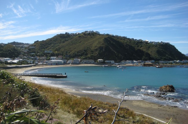 Caring for our beaches and coast this summer