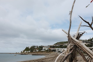 Driftwood on the beach with the ocean in the background.